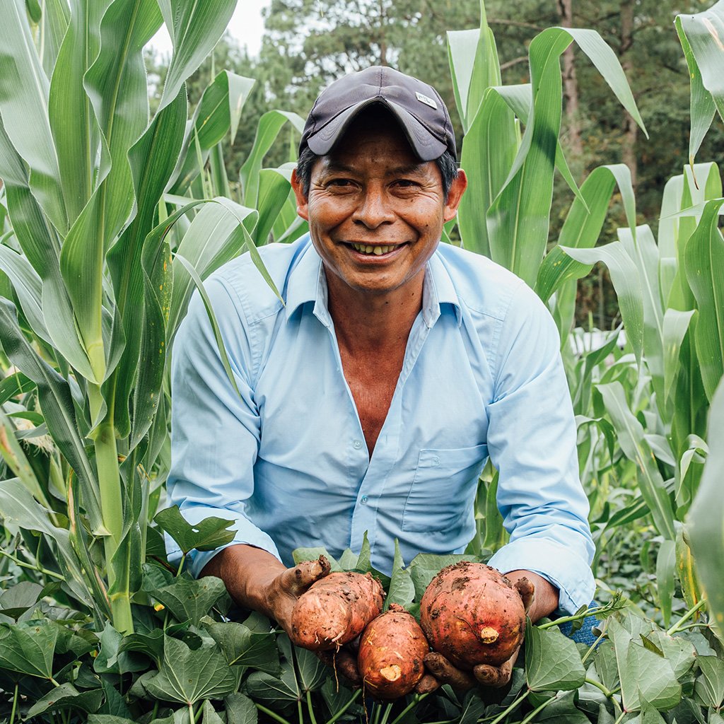 red de productores 1