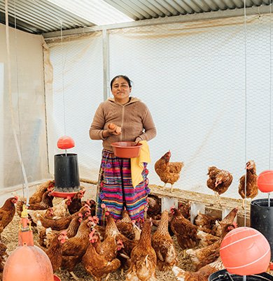 220x148grupo de 4 no3